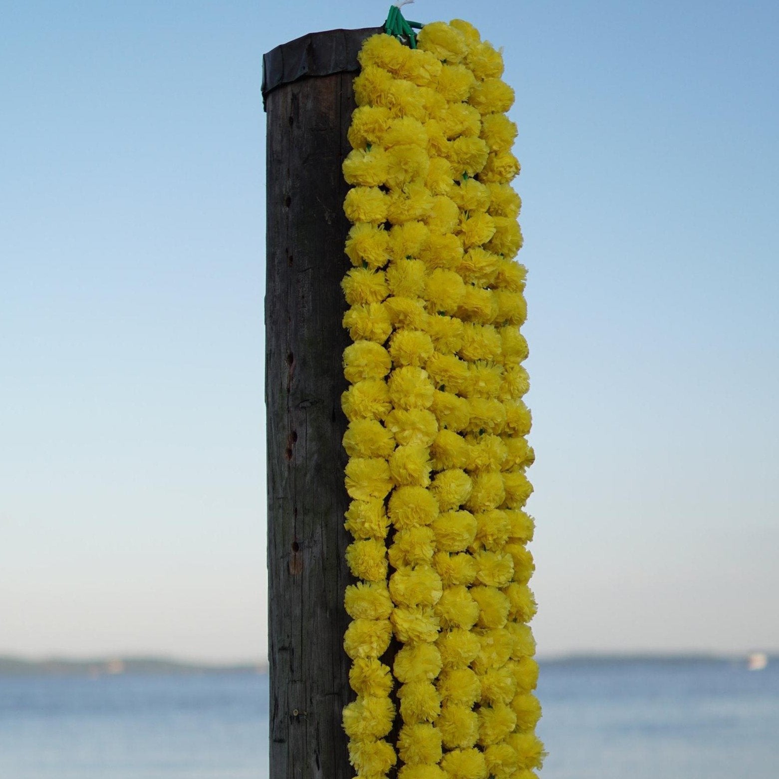 5 PC - 4.5 feet Yellow Marigold Garland | Party, Wedding or Photo Prop Backdrop - Aangan of India